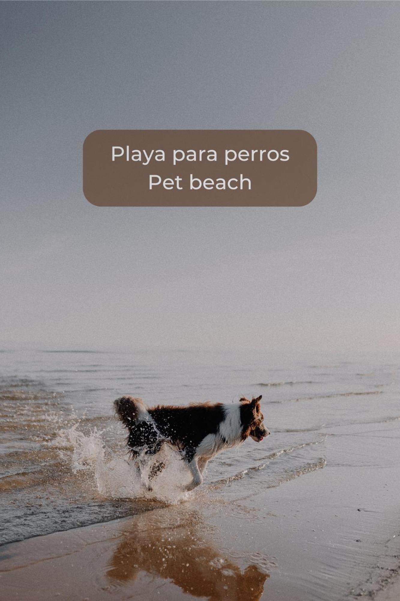 Cotillo Kiwi Smoothie - En La Playa, Doble Terraza, Cocina Completa, Dos Camas Y Wifi 아파트 외부 사진